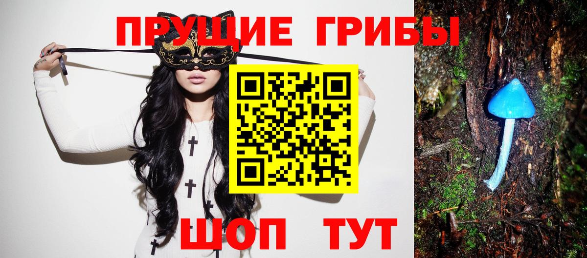 Грозный  цена   Вход с VPN  Псилоцибиновые грибы мицелий  Псилоцибиновые грибы Psilocybe 
