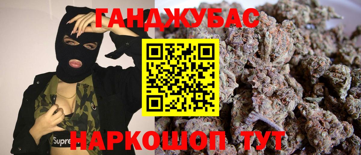 Марихуана конопля  Бошки Шишки план  Конопля Bruce Banner  Грозный  Шишки марихуана сатива  Вход с VPN 
